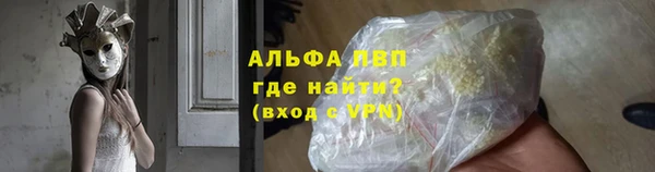 прущие грибы Бронницы