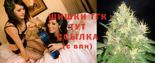 дурь Инта