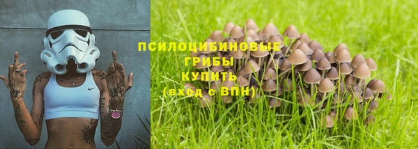 СК Бородино